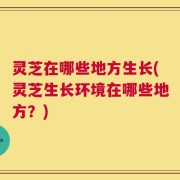 灵芝在哪些地方生长(灵芝生长环境在哪些地方？)