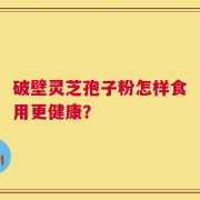 破壁灵芝孢子粉怎样食用更健康？