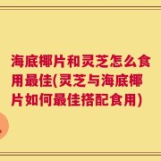 海底椰片和灵芝怎么食用最佳(灵芝与海底椰片如何最佳搭配食用)