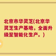 北京市华灵芝(北京华灵芝生产基地，全面升级至智能化生产。)