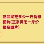 正品灵芝多少一斤价格图片(正宗灵芝一斤价格及图片)