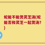 蛇能不能煲灵芝汤(蛇能否和灵芝一起煲汤？)