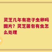 灵芝几年有孢子虫卵吗图片？灵芝菌包有虫怎么处理