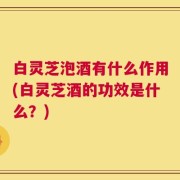 白灵芝泡酒有什么作用(白灵芝酒的功效是什么？)