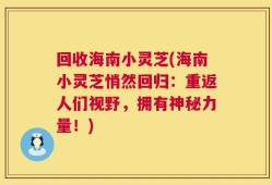 回收海南小灵芝(海南小灵芝悄然回归：重返人们视野，拥有神秘力量！)