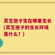 灵芝孢子生在哪里生长(灵芝孢子的生长环境是什么？)
