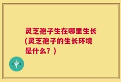 灵芝孢子生在哪里生长(灵芝孢子的生长环境是什么？)