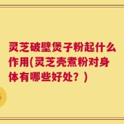 灵芝破壁煲子粉起什么作用(灵芝壳煮粉对身体有哪些好处？)