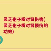 灵芝孢子粉对肾伤害(灵芝孢子粉对肾损伤的功效)