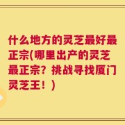 什么地方的灵芝最好最正宗(哪里出产的灵芝最正宗？挑战寻找厦门灵芝王！)