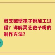 灵芝破壁孢子粉加工过程？详解灵芝孢子粉的制作方法？