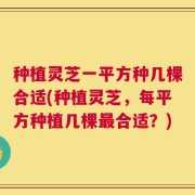 种植灵芝一平方种几棵合适(种植灵芝，每平方种植几棵最合适？)