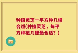 种植灵芝一平方种几棵合适(种植灵芝，每平方种植几棵最合适？)