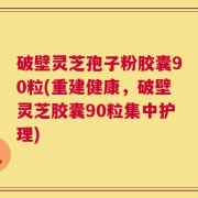 破壁灵芝孢子粉胶囊90粒(重建健康，破壁灵芝胶囊90粒集中护理)