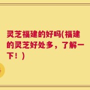 灵芝福建的好吗(福建的灵芝好处多，了解一下！)