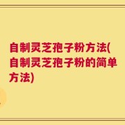 自制灵芝孢子粉方法(自制灵芝孢子粉的简单方法)