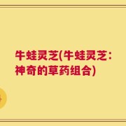 牛蛙灵芝(牛蛙灵芝：神奇的草药组合)