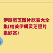 伊朗灵芝图片欣赏大全集(精美伊朗灵芝照片集欣赏)