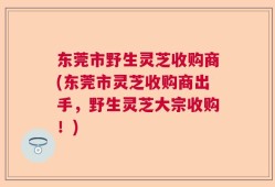 东莞市野生灵芝收购商(东莞市灵芝收购商出手，野生灵芝大宗收购！)