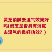 灵芝消腻去湿气效果好吗(灵芝是否具有消腻去湿气的良好功效？)