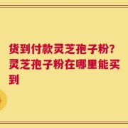 货到付款灵芝孢子粉？灵芝孢子粉在哪里能买到