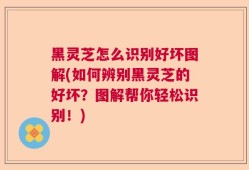 黑灵芝怎么识别好坏图解(如何辨别黑灵芝的好坏？图解帮你轻松识别！)