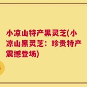 小凉山特产黑灵芝(小凉山黑灵芝：珍贵特产震撼登场)