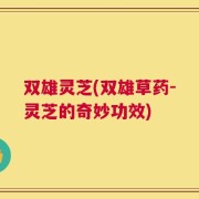双雄灵芝(双雄草药-灵芝的奇妙功效)