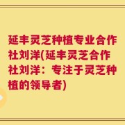 延丰灵芝种植专业合作社刘洋(延丰灵芝合作社刘洋：专注于灵芝种植的领导者)