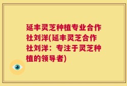 延丰灵芝种植专业合作社刘洋(延丰灵芝合作社刘洋：专注于灵芝种植的领导者)