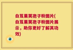 白芨果荚孢子粉图片(白芨果荚孢子粉图片展示，助你更好了解其功效)