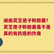 湖南灵芝孢子粉胶囊？灵芝孢子粉胶囊是不是真的有抗癌的作用