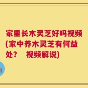家里长木灵芝好吗视频(家中养木灵芝有何益处？  视频解说)