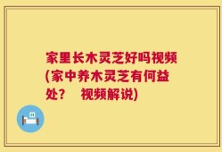 家里长木灵芝好吗视频(家中养木灵芝有何益处？  视频解说)