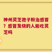 神州灵芝孢子粉治感冒？感冒发烧的人能吃灵芝吗
