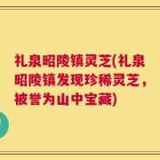 礼泉昭陵镇灵芝(礼泉昭陵镇发现珍稀灵芝，被誉为山中宝藏)