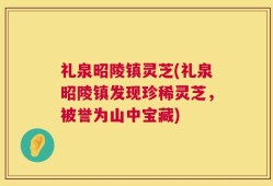 礼泉昭陵镇灵芝(礼泉昭陵镇发现珍稀灵芝，被誉为山中宝藏)