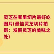 灵芝在哪里切片最好吃图片(最佳灵芝切片拍摄：发掘灵芝的美味之处)