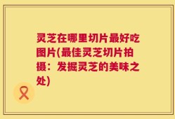 灵芝在哪里切片最好吃图片(最佳灵芝切片拍摄：发掘灵芝的美味之处)