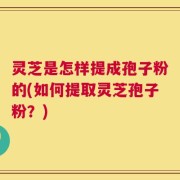 灵芝是怎样提成孢子粉的(如何提取灵芝孢子粉？)