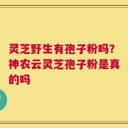 灵芝野生有孢子粉吗？神农云灵芝孢子粉是真的吗