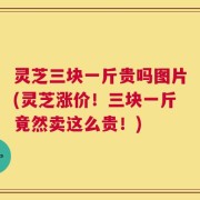 灵芝三块一斤贵吗图片(灵芝涨价！三块一斤竟然卖这么贵！)