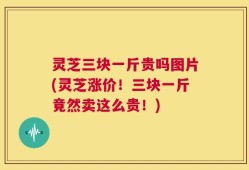 灵芝三块一斤贵吗图片(灵芝涨价！三块一斤竟然卖这么贵！)