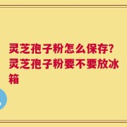 灵芝孢子粉怎么保存？灵芝孢子粉要不要放冰箱