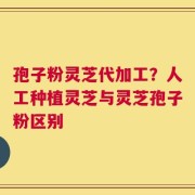 孢子粉灵芝代加工？人工种植灵芝与灵芝孢子粉区别