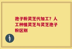 孢子粉灵芝代加工？人工种植灵芝与灵芝孢子粉区别
