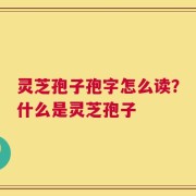 灵芝孢子孢字怎么读？什么是灵芝孢子