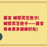 菌宝 破壁灵芝孢子(破壁灵芝孢子——菌宝带来更多健康好处)