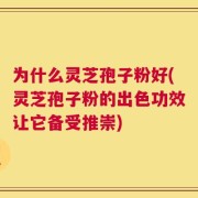 为什么灵芝孢子粉好(灵芝孢子粉的出色功效让它备受推崇)