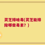 灵芝排啥毒(灵芝能排除哪些毒素？)